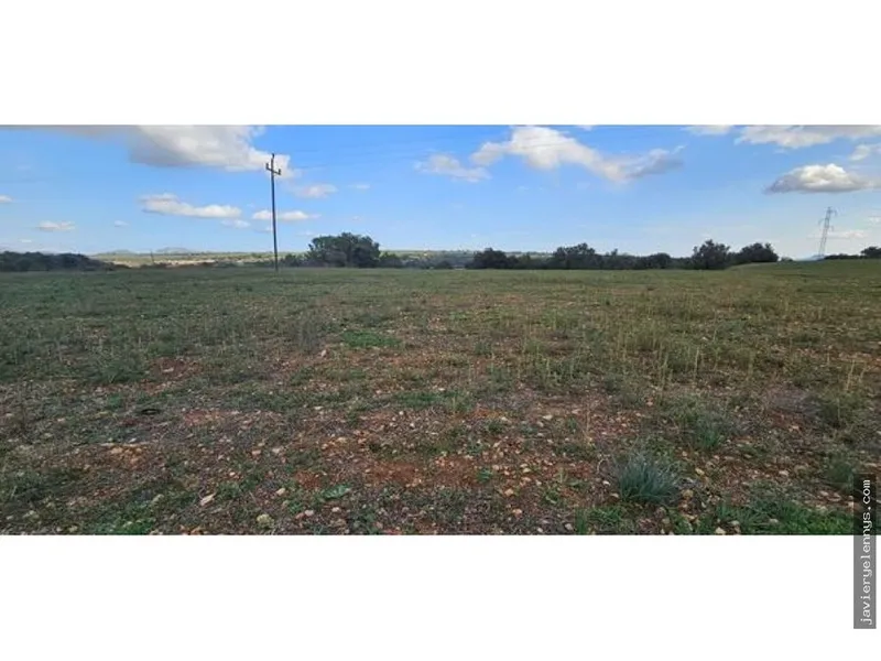 Plot for sale on Camino de Son Reixach s/n — photo 8