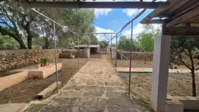 Casa rústica en Llucmajor — photo 5