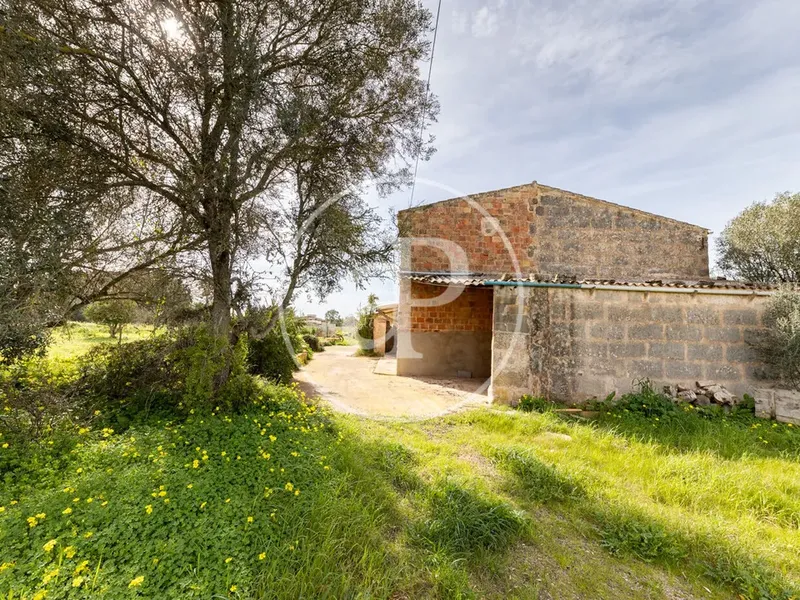 Farm house in Campos, Mallorca — photo 4