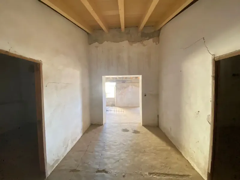 Investment Opportunity — photo 4