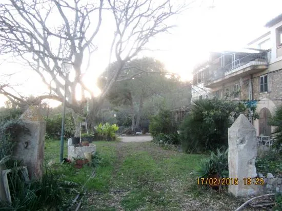 Wonderful Mallorcan estate finca near Alcudia with views, to renovate — photo 8