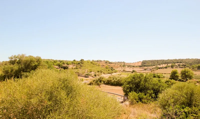 Manor house to renovate in Pina with a view to the Tramontana — photo 6