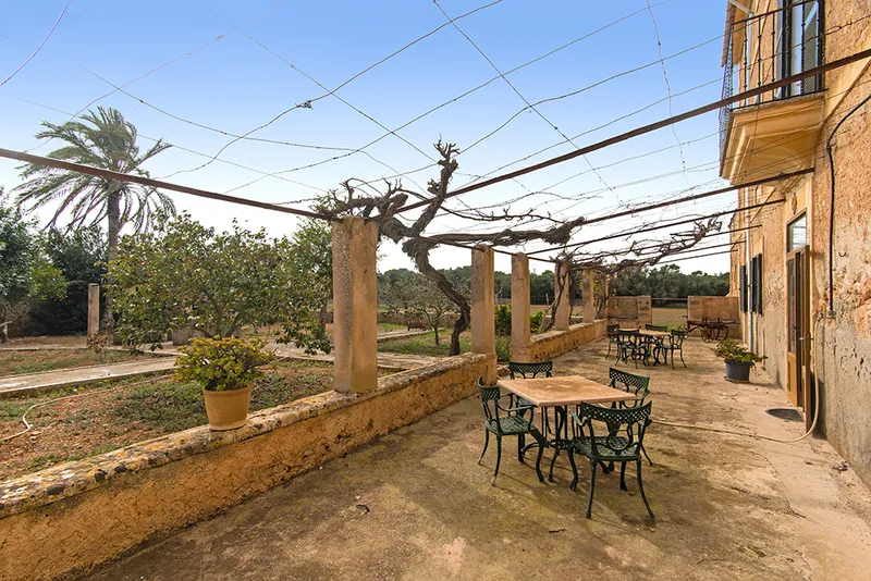 Historic estate in Algaida, Mallorca. — photo 5
