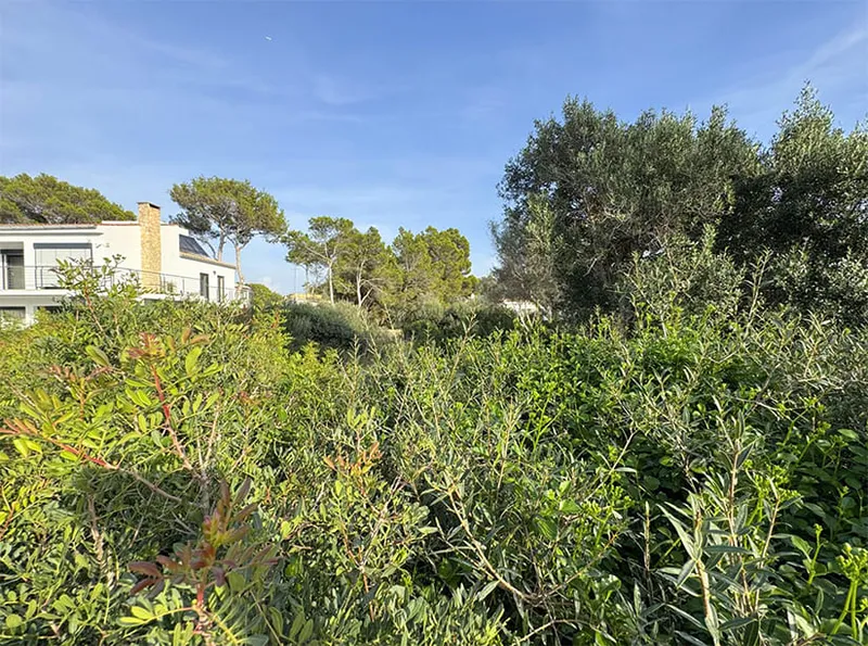 Plot in prestigious location in El Toro Mas — photo 5