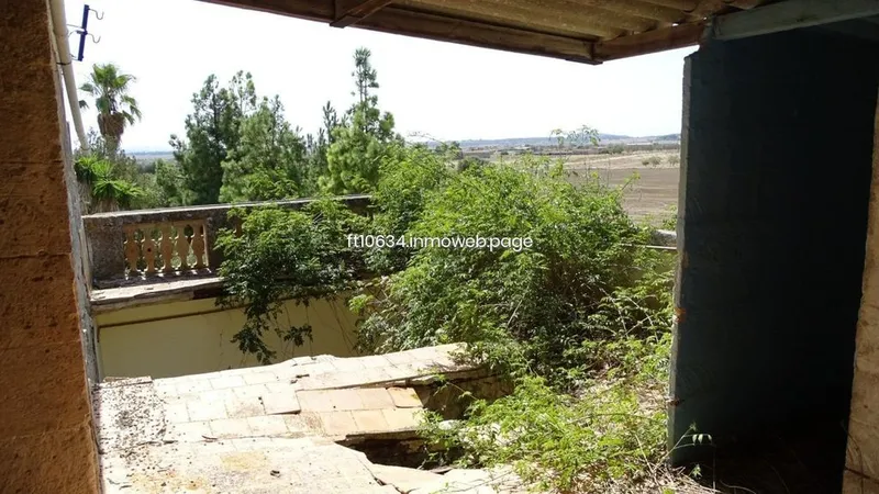 Rural or Farmhouse in Petra, Province of Balearic Islands — photo 7