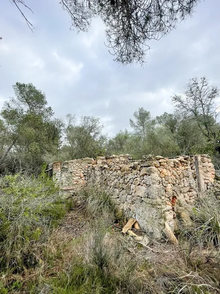 Rustic plot with license in Felanitx — photo 7