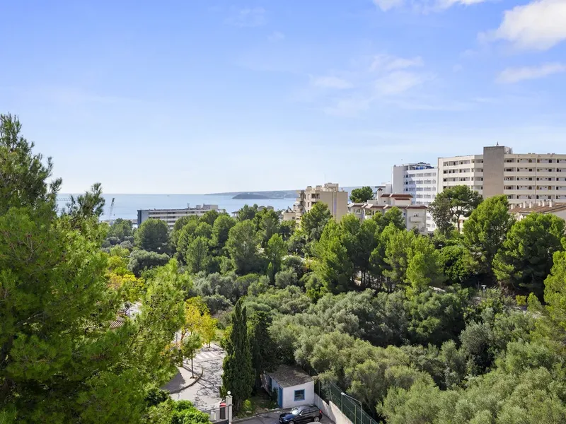Apartment in Portals Nous, Mallorca — photo 2