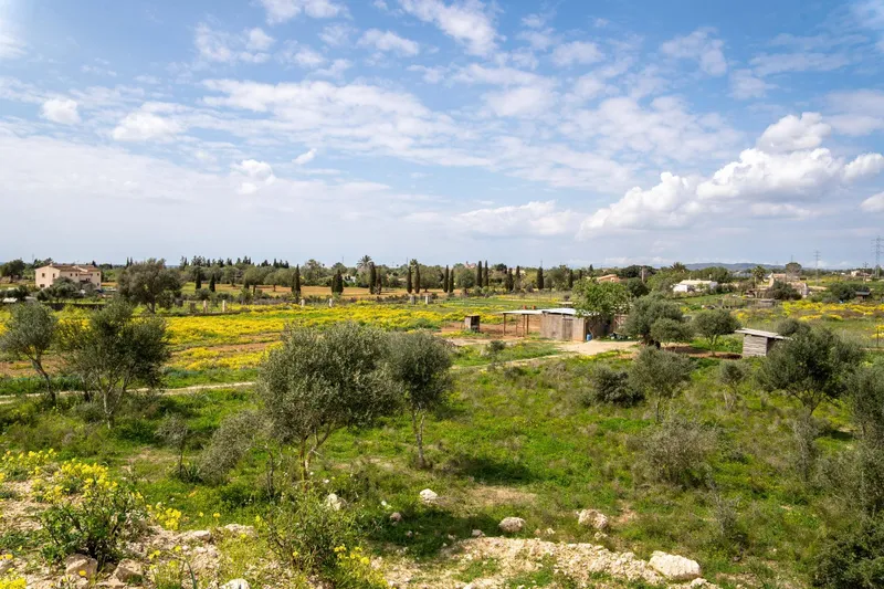 Finca new construction in Llucmajor — photo 10
