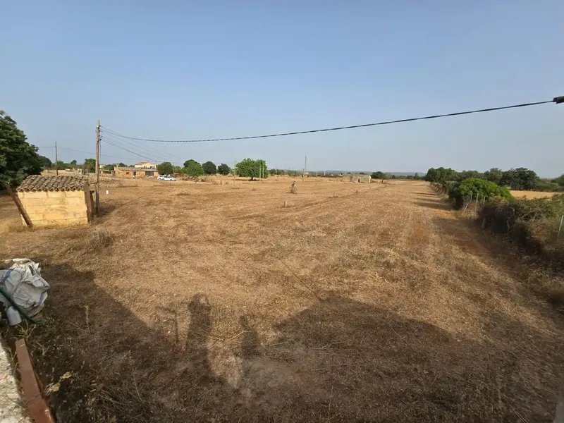 A blank canvas of almost 25,000 m2 in the center of Mallorca with its own well? Yes, it exists. — photo 10