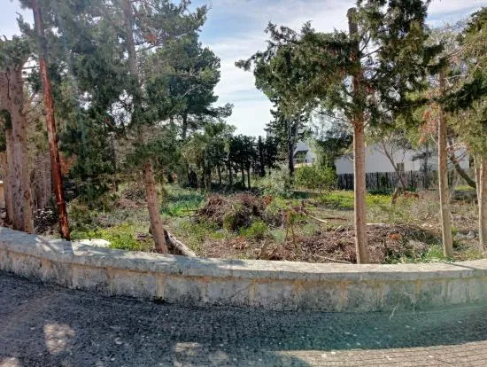 Fantastic plot in Bonaire of 953 m2, facing three streets — photo 1