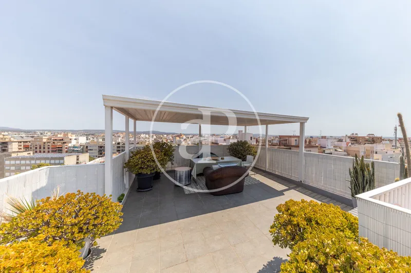 Renovated penthouse with terraces and sea views for sale in S’Escorxador — photo 5