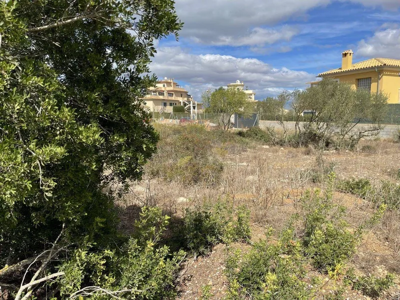 Beautiful plot in Las Palmera — photo 1