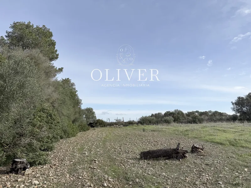 Large plot with views in Sencelles — photo 12