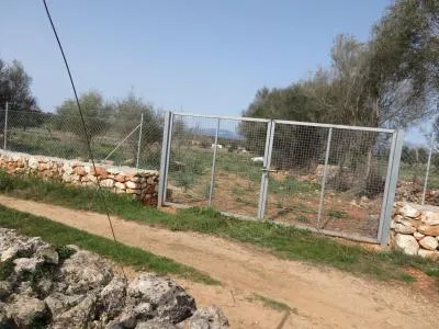 Rural land - Sineu (Llubi), plot surface 17000 m² — photo 1