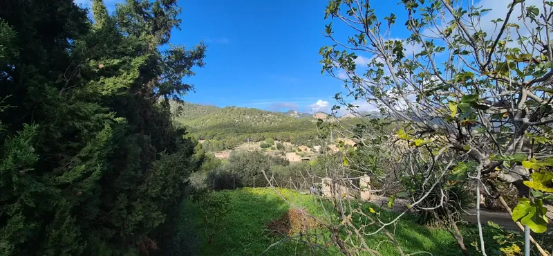 Located in an open and quiet environment, next to the renowned Oloron winery, this property sits on a generous plot of over — photo 4