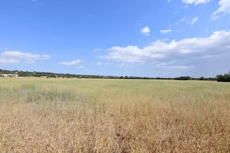 Plot located a few minutes from Campos — photo 2
