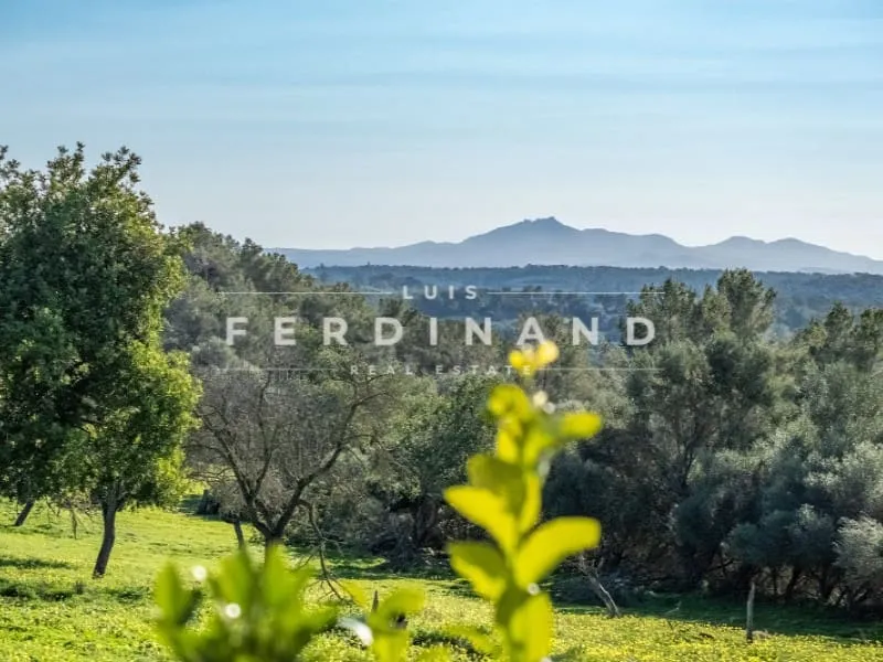 Finca/Country House for sale in Montuïri, Mallorca — photo 12