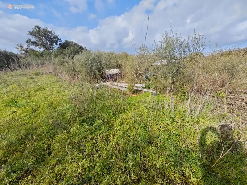 Unique opportunity in the Capdepera area: rustic estate with over 8,000 m2 of land in a natural, quiet and totally private setting — photo 8