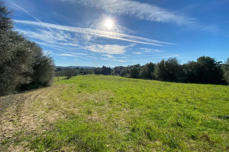 Plot in Muro - Sunny building land near the town center — photo 1