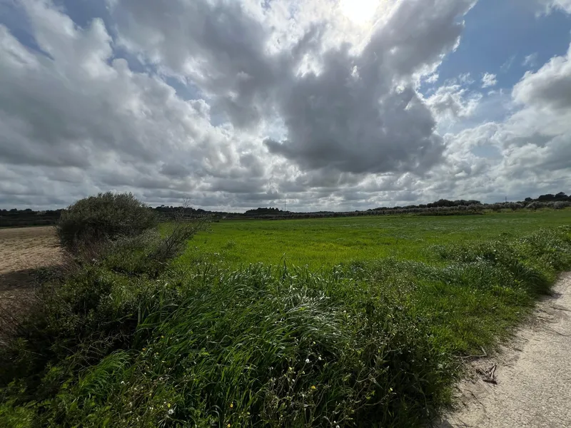 Ideal plot to build the house of your dreams — photo 1