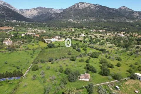 Land in Selva, Mallorca — photo 9