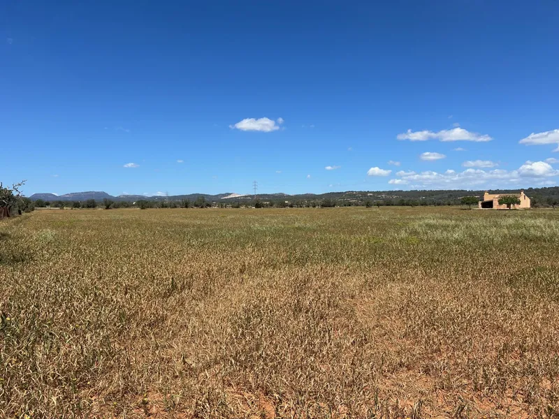 Beautiful plot in Campos with building possibility — photo 1