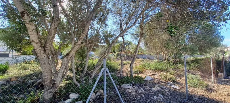 Buildable plot near the sea in Bahía Grande, Llucmajor — photo 3