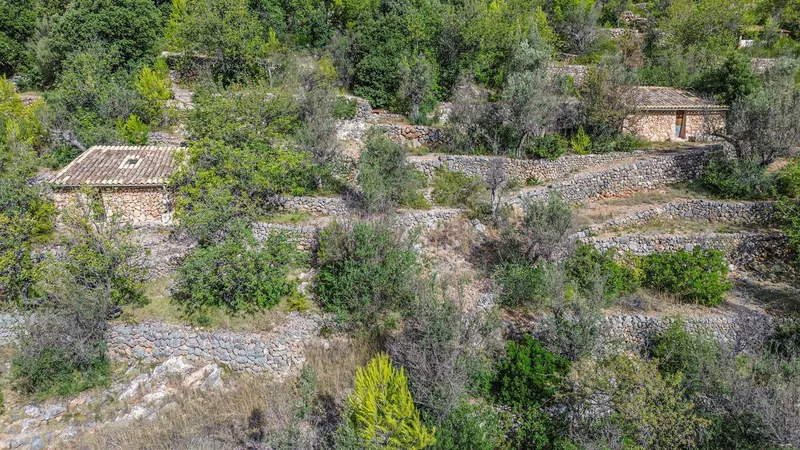 Land with two houses — photo 1