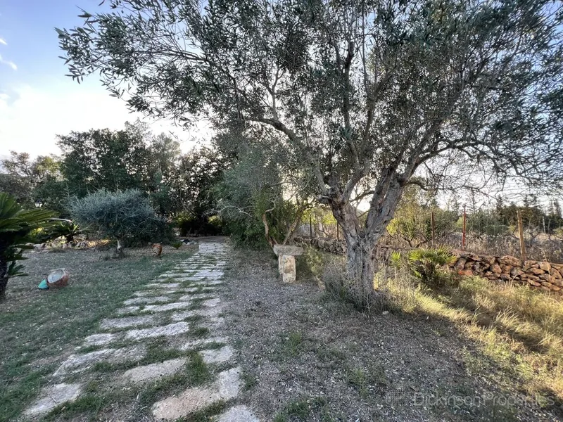 Charming rustic finca in Costitx — photo 6
