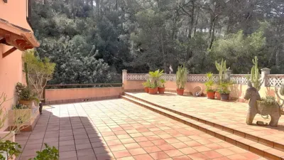 Apartment on Avinguda de Peguera — photo 2