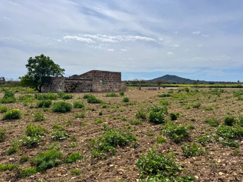 Beautiful rustic finca with great potential and panoramic views — photo 8