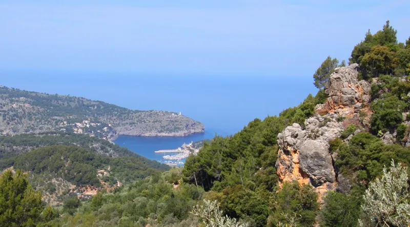 Reduced!!! Olive grove with stunning views of the Port of Sóller — photo 9