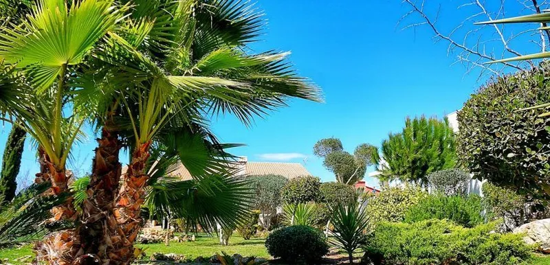 Loft-style chalet for rent minutes from Palma center — photo 4