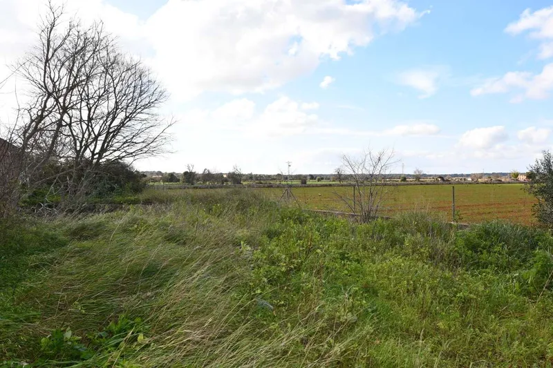 Plot of 387m2 with many possibilities in Santanyi — photo 1