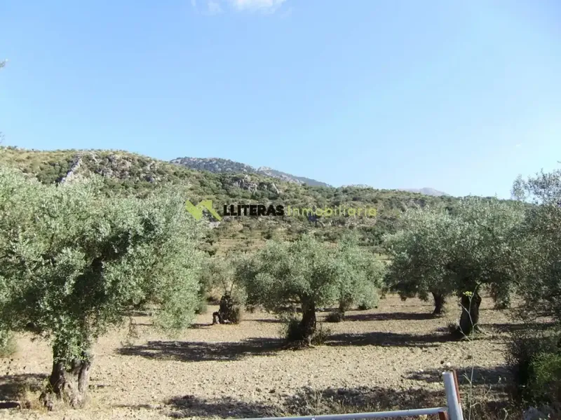 Fantastic estate in the valley between Alaro and Orient, in a paradisiacal setting surrounded by mountains. With an area of more than 50,000 m2 and u — photo 7