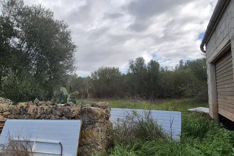 Land in Costitx, Mallorca — photo 10