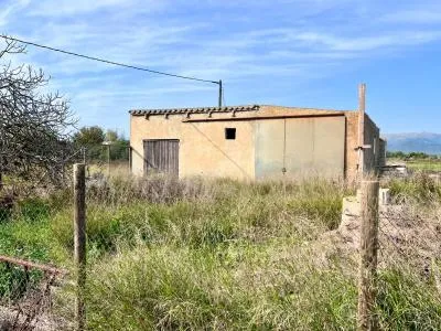 Rustic property - Sa Pobla (Pobla (Sa)), Built Surface 97m², Plot Surface 9153m², 1 Room — photo 7