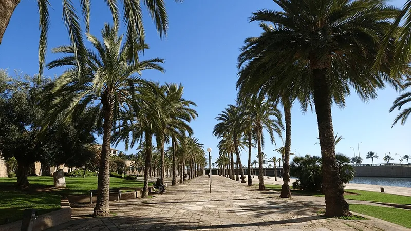 Seasonal rental: Newly renovated flat with terrace and parking in Palma — photo 9