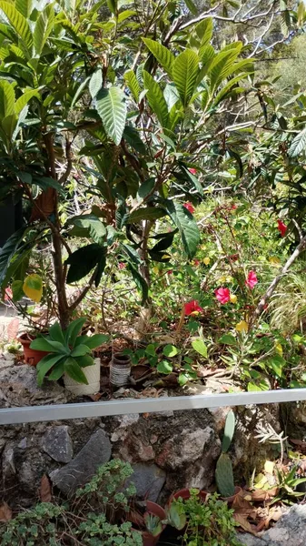 Apartment in a quiet location in Cala Murada available immediately — photo 12