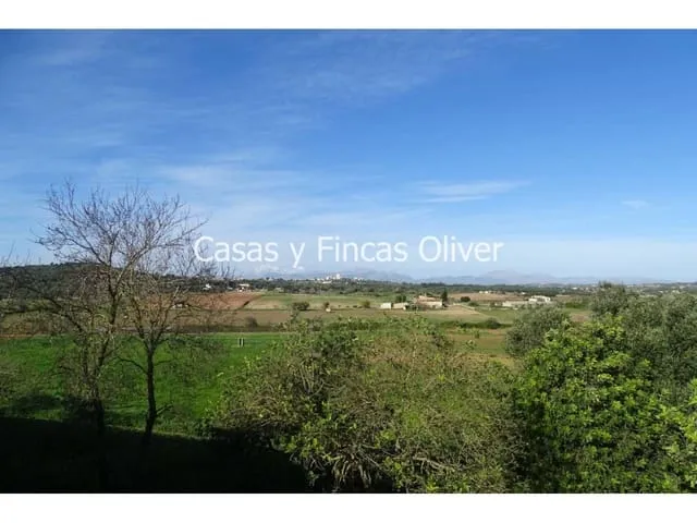 Finca/Country House for sale in Ariany, Mallorca — photo 8