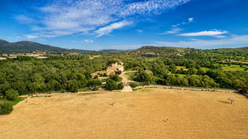 Commercial in Sant Llorenç des Cardassar — photo 6