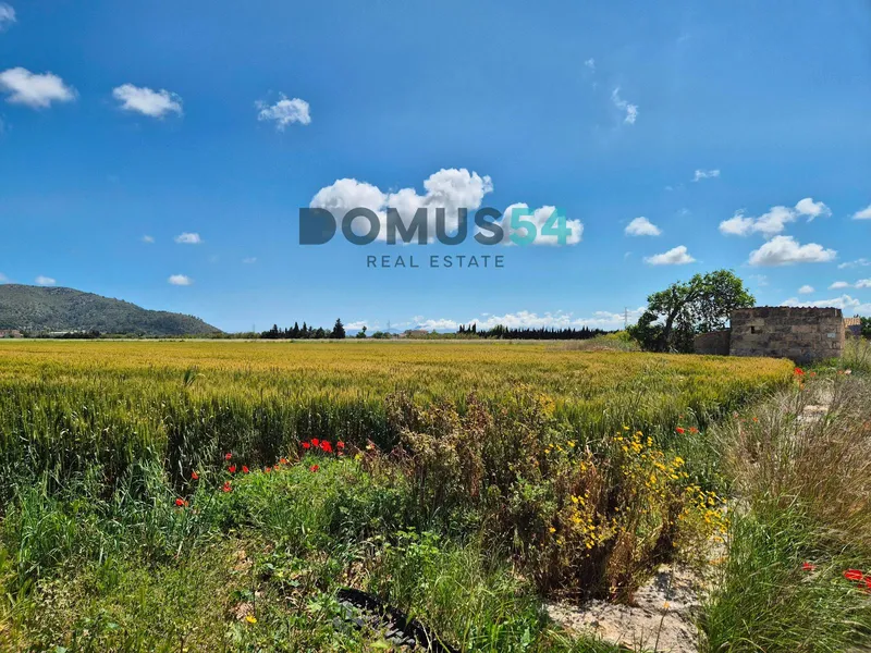 plot in Sa Pobla — photo 3