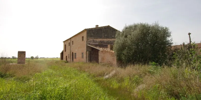 Spacious country house to reform on a large plot near Sa Rapita — photo 3