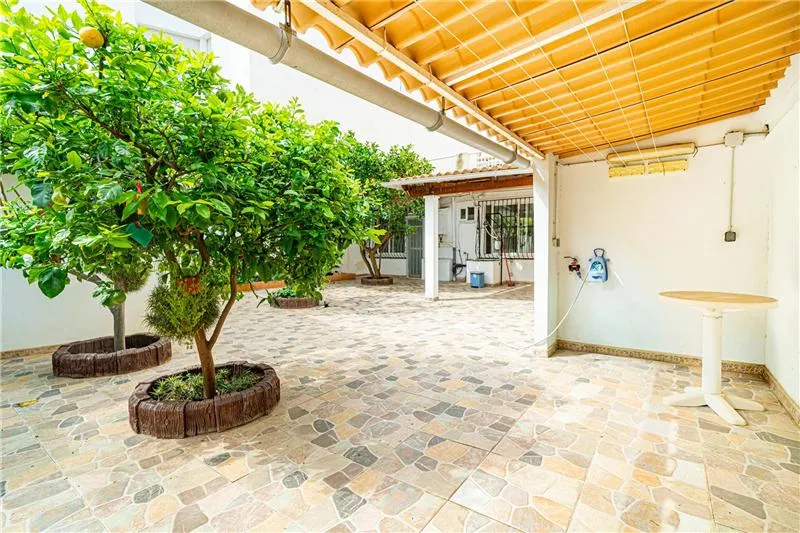 Freehold ground-floor apartment with terrace and garden on a plot of approx. 226 m². — photo 1