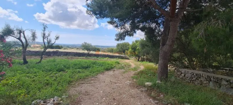 House for sale in a very quiet area 4km from Sant Llorenç — photo 3