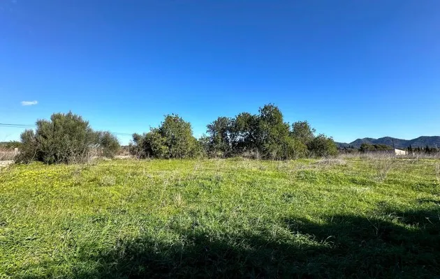 Son Servera · Son Servera — photo 1