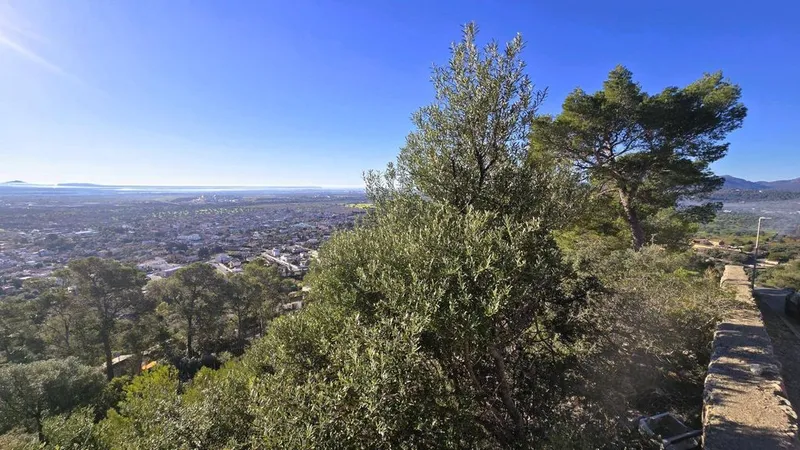 Land in Bunyola, Province of Balearic Islands — photo 3