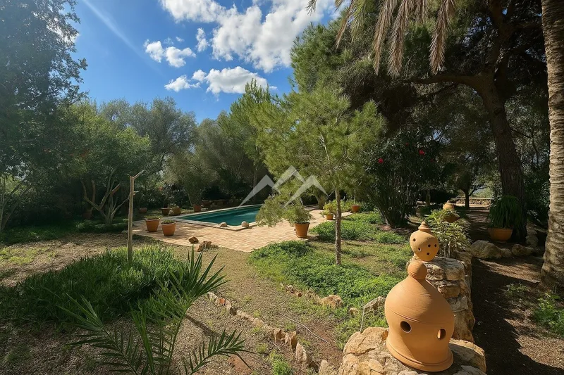 Finca with house and pool — photo 3