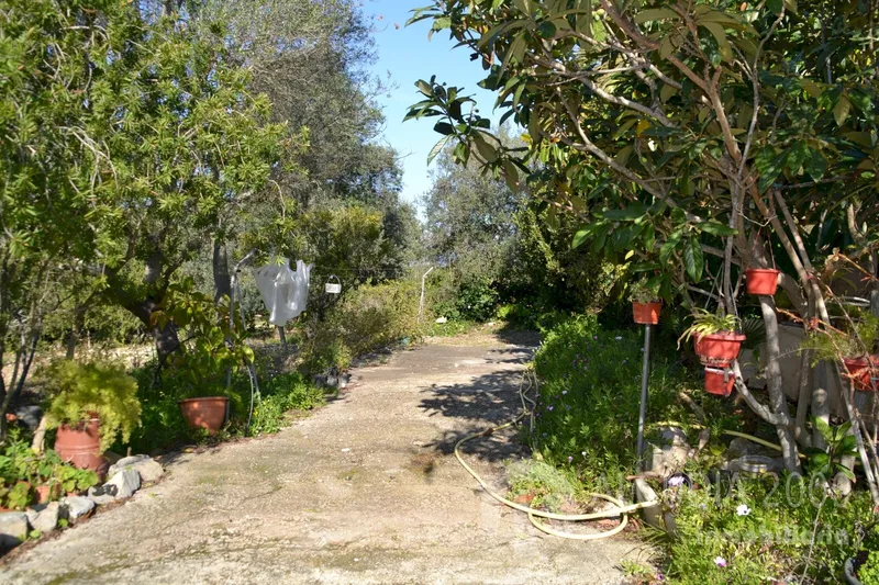 Country home — photo 7