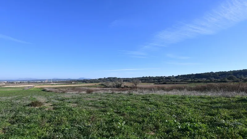 Beautiful plot in Petra with beautiful panoramic views of the Tramuntana mountains — photo 6